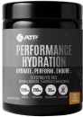 ATP-Science-Performance-Hydration-Electrolyte-Mix-Fruit-Punch-150g Sale
