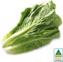 Australian-Cos-Lettuce-Twin-Pack Sale