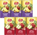 Golden-Circle-Fruit-Drink-6x250mL Sale