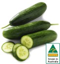Australian-Lebanese-Cucumber Sale