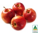 Australian-Royal-Gala-Apples Sale