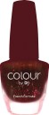 Colour-By-DB-Nail-Polish-Brown-Color-Limited-Edition Sale