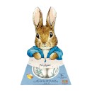 Peter-Rabbit-Colour-Me-In-Cookies-Pk-4 Sale