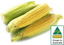 Australian-Sweet-Corn-500g-Pack Sale
