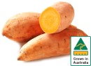 Australian-Gold-Sweet-Potatoes Sale