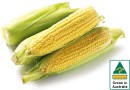 Australian-Sweet-Corn-500g-Pack Sale