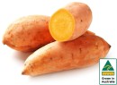Australian-Gold-Sweet-Potatoes Sale