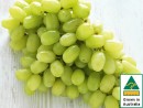 Australia-White-Seedless-Grapes Sale