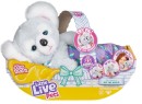 Little-Live-Pets-Cozy-Dozy-Koala Sale