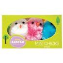 Easter-Mini-Chicks-Assorted Sale