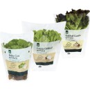 Australian-Baby-Cos-Lettuce-Green-Oakleaf-Lettuce-or-Combo-Oakleaf-Lettuce Sale