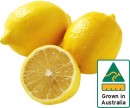 Australian-Lemons Sale