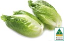 Australian-Baby-Cos-Lettuce-Twin-Pack Sale