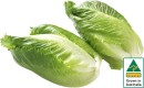 Australian-Baby-Cos-Lettuce-Twin-Pack Sale