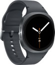 Samsung-Galaxy-Watch-8-Bluetooth-40mm-Black Sale