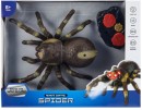 Remote-Control-Spider Sale