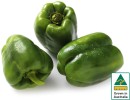 Australian-Green-Capsicum Sale