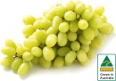 Australian-White-Seedless-Grapes Sale
