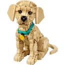 LEGO-Icons-Golden-Retriever-Puppy-11384 Sale