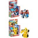 Transformers-Evergreen-Featured-Assorted Sale