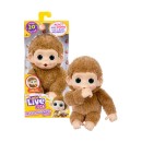 Little-Live-Pets-My-Baby-Monkey-Minis-Assorted Sale