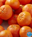 Afourer-Mandarins Sale