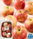 Coles-Australian-Mini-Pack-Apples-1kg Sale