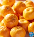 Australian-Imperial-Mandarins Sale