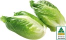 Australian-Baby-Cos-Lettuce-Twin-Pack Sale