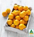 Australian-Imperial-Mandarins Sale