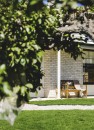 Pear-Tree-Pyrus-Communis Sale
