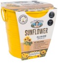 Mr-Fothergills-Boutique-Gardens-Sunflower-Grow-Kit Sale