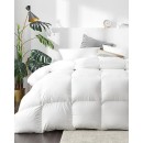 700GSM-Queen-Duck-Down-Feather-Quilt-Giselle-Bedding Sale