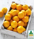 Australian-Imperial-Mandarins Sale