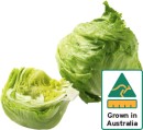 Australian-Iceberg-Lettuce Sale