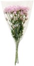 Chrysanthemum-Bunch Sale
