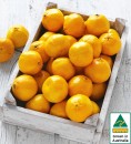 Australian-Imperial-Mandarins Sale
