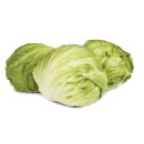 Australian-Iceberg-Lettuce Sale