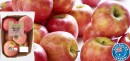 Coles-Australian-Pink-Lady-Apples-1kg-Pack-or-Per-Kg Sale