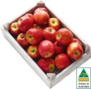 Australian-Pink-Lady-Apples Sale