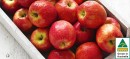 Australian-Pink-Lady-Apples Sale