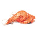 Australian-Fresh-Cooked-Tiger-Prawns Sale