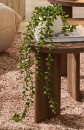 Artificial-Trailing-Plant-in-Pot Sale