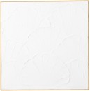 Textured-Shell-Framed-Canvas-80cm-x-80cm Sale