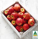 Australian-Pink-Lady-Apples Sale