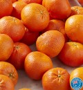 Australian-Afourer-Mandarins Sale