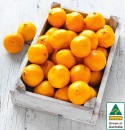 Australian-Mandarins Sale