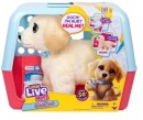 Little-Live-Pets-Ouchies-Cooper-The-Retriever-Puppy Sale