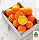 Australian-Navel-Oranges Sale