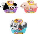 Little-Live-Pets-My-Really-Real-Puppy-Mini-Toy-Assorted Sale